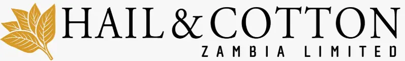 My Website